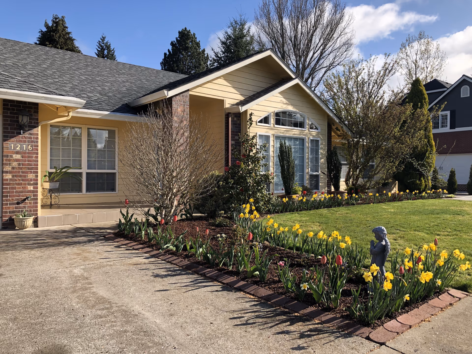 Front exterior view of a single-story house with a well-maintained garden featuring yellow daffodils and red tulips, a small statue, and a concrete driveway. The house has beige siding, brick accents, large windows, and a gray shingled roof under a clear blue sky.