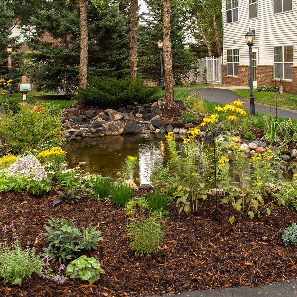 A landscaped garden area with a small pond surrounded by rocks and various green plants and yellow flowers. There are tall trees and lamp posts around the pond, and a building with white siding and brick foundation is visible in the background.