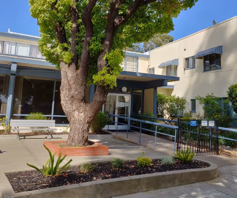 Front entrance of a senior living building with a large tree in a raised planter, an accessibility ramp, bench, and landscaping.
