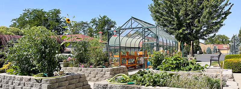 Outdoor garden area with raised stone flower beds filled with various plants and vegetables, a glass greenhouse structure in the background, and a bench on the right side under a tree, all under a clear blue sky.