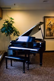A black grand piano with bench sits in a carpeted room next to a potted plant and framed artwork.
