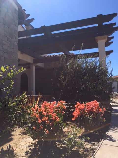 Stone building entrance with a wooden pergola, columns, and pink flowering shrubs under a clear blue sky.