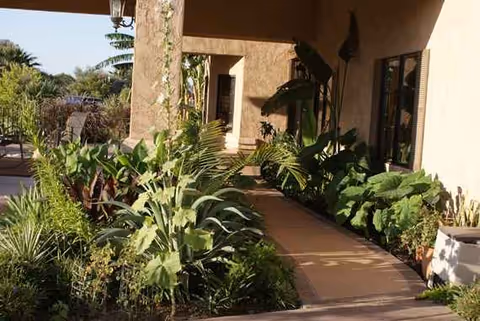 Outdoor walkway along a building entrance surrounded by large tropical plants