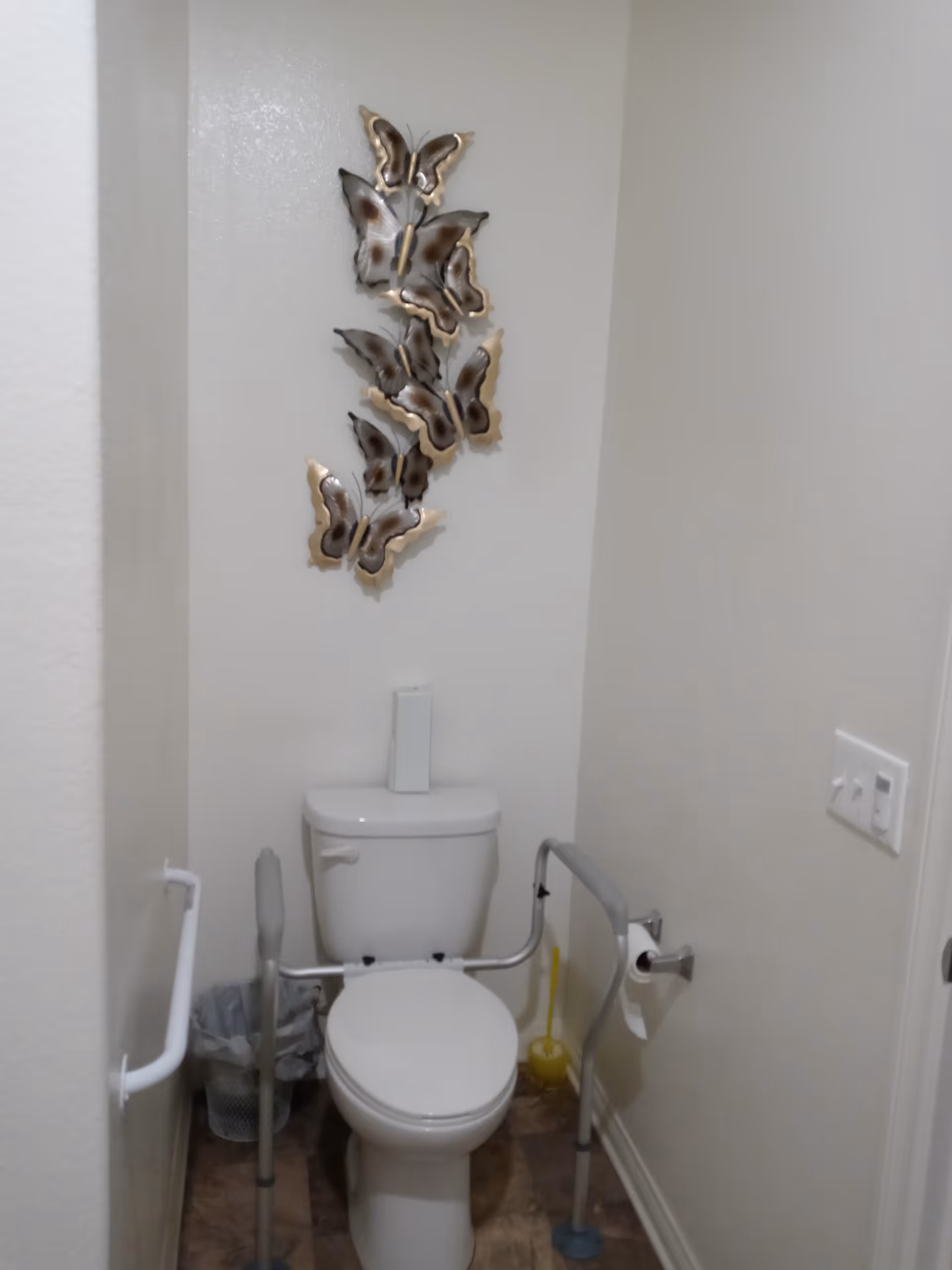 A small bathroom with a white toilet equipped with safety rails on both sides. There is a trash can to the left and a toilet brush to the right. Above the toilet, there is a wall decoration featuring several metallic butterflies. The walls are painted white and there is a light switch on the right wall.