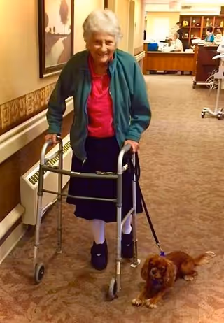 An elderly woman using a walker is standing in a carpeted hallway of a senior living facility. She is wearing a green jacket, red shirt, black skirt, white socks, and black shoes. A small brown dog on a leash is lying on the floor next to her. The hallway has beige walls with a framed picture and a radiator cover, and in the background, there is a reception or common area with people and furniture.
