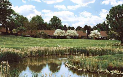 A tranquil campus lawn with a pond, trees, and a distant brown-roofed building in the background.