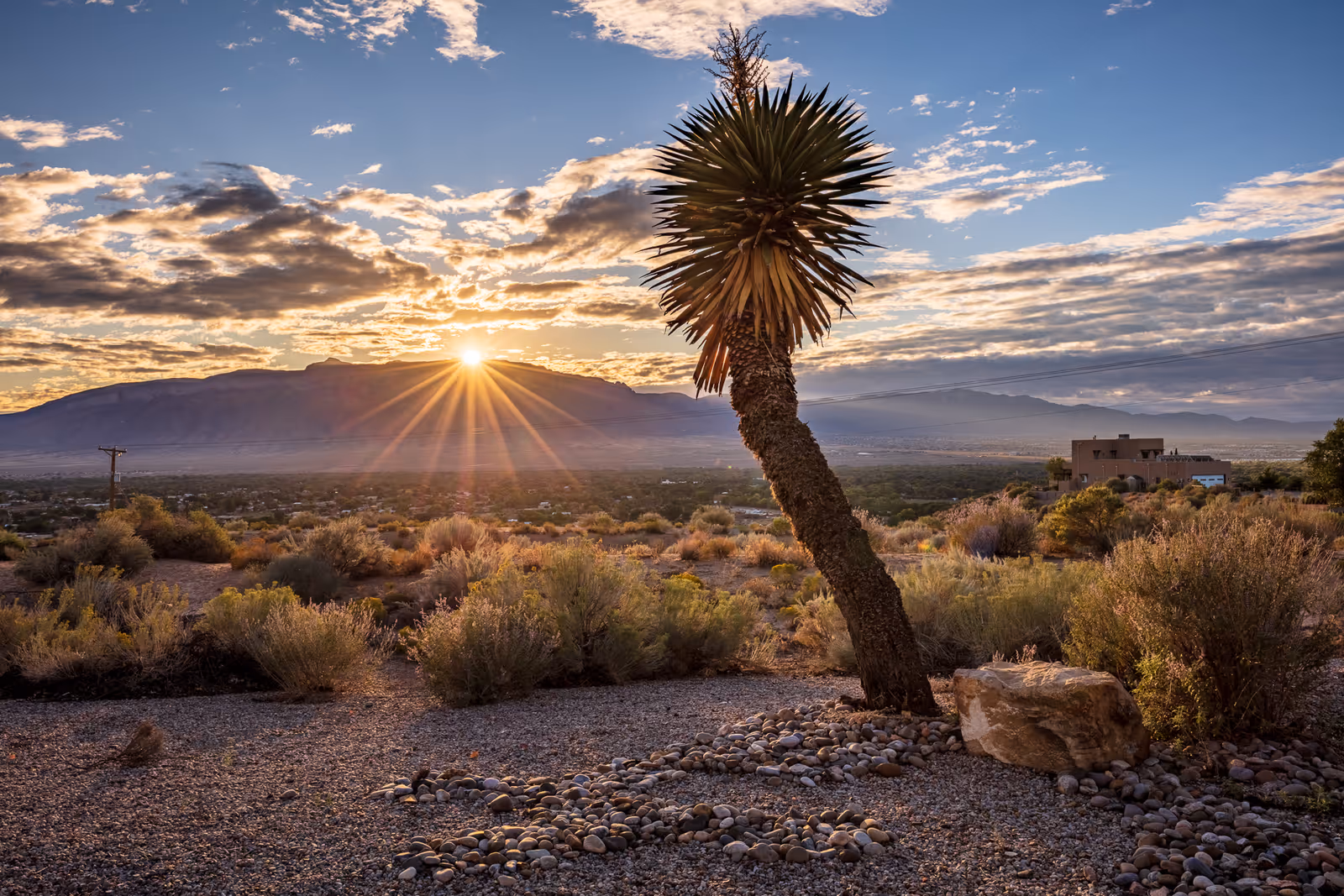 A scenic desert landscape at sunset with a spiky desert plant in the foreground, rocky ground, and shrubs. Mountains are visible in the distance under a partly cloudy sky with the sun setting behind the mountains.