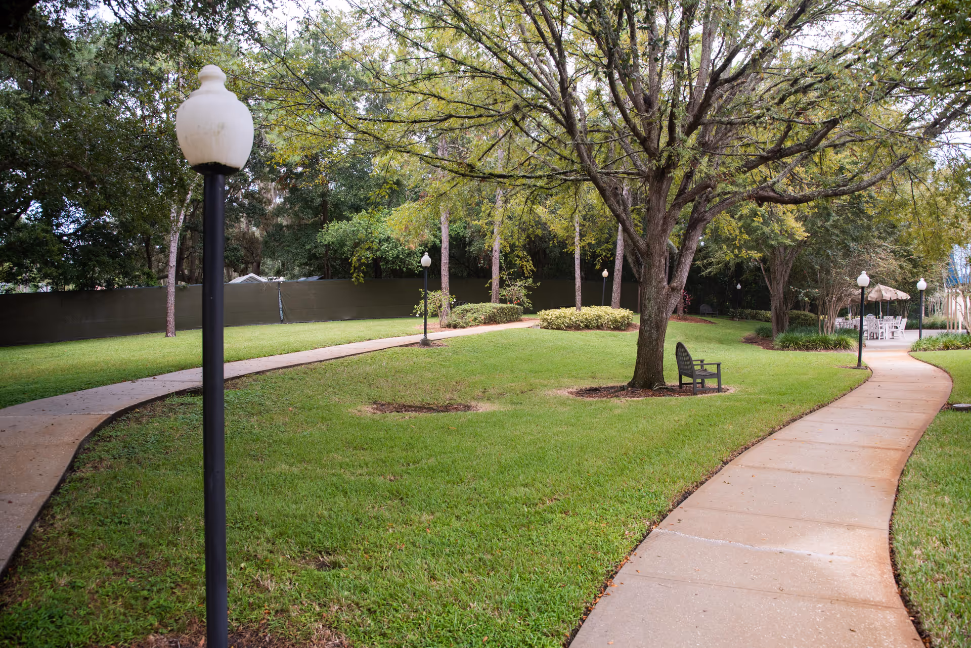 A winding concrete pathway through a green lawn with several trees and lamp posts. There is a bench under a large tree and a seating area with tables and umbrellas in the background. The area is surrounded by more trees and bushes.