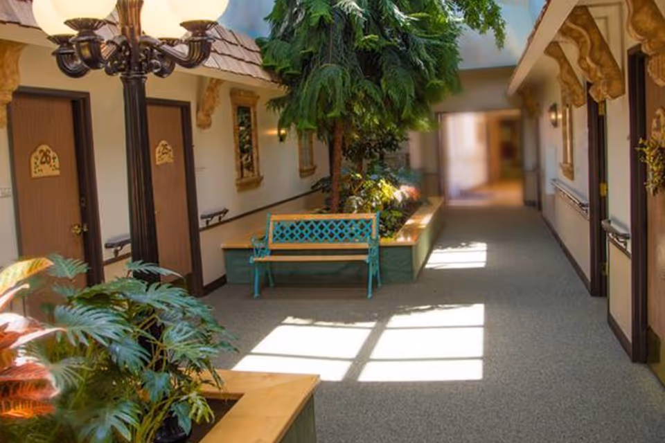 Indoor hallway in a senior living facility with doors on both sides, a decorative streetlamp, indoor plants, and a turquoise bench. Sunlight streams through windows creating bright patches on the carpeted floor.