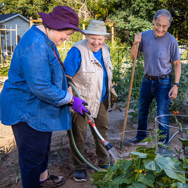 Three elderly people gardening outdoors. One woman in a purple hat and denim jacket is holding a garden hose watering plants. Another woman wearing a beige vest and hat is smiling and standing next to her. A man in a gray t-shirt and jeans is holding a gardening tool and watching them. They are surrounded by green plants and trees in a garden.