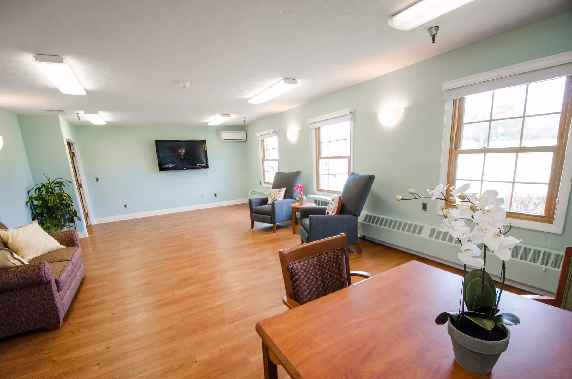 A spacious living room with light green walls and wooden flooring. The room features a brown sofa with cushions on the left, two gray armchairs with decorative pillows near the windows, a wooden table with a potted white orchid in the foreground, and a flat-screen TV mounted on the far wall. Large windows allow natural light to fill the room.