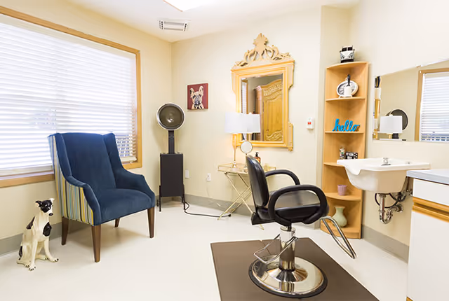 Well-lit salon room with a styling chair and mirror, a blue armchair by the window, a sink, shelving, and a decorative dog statue.