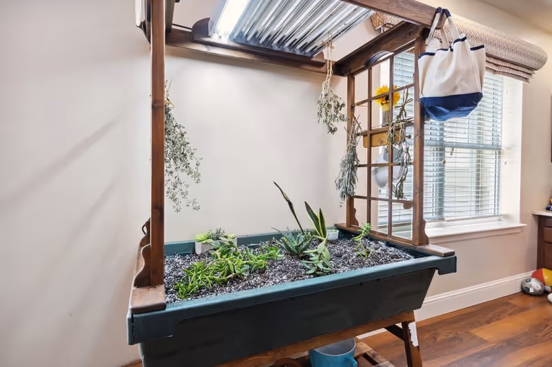 An indoor gardening station with a wooden frame and a green planter box filled with soil and small plants. Several bundles of dried herbs hang from the wooden frame. A window with blinds and a rolled-up curtain is visible in the background, along with a hardwood floor.