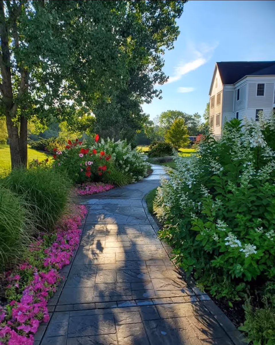 A paved garden pathway surrounded by vibrant flowers and lush greenery on both sides, with a large tree casting shadows on the path. In the background, there is a white multi-story building under a clear blue sky.
