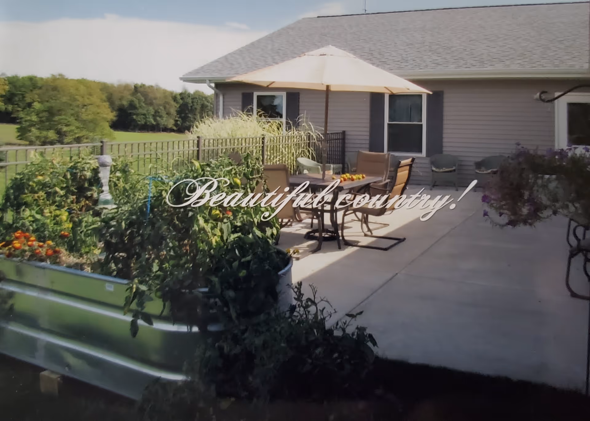 Outdoor patio area with a table, chairs, and an umbrella next to a garden bed filled with plants and tomatoes. The patio is adjacent to a building with windows, and there is a grassy field and trees in the background under a partly cloudy sky.