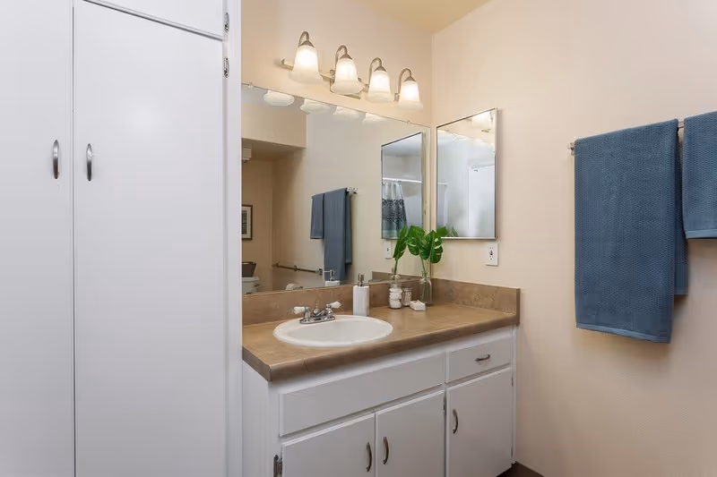 A clean bathroom vanity area with a sink, brown countertop, white cabinets, and a large mirror above. There are four light fixtures above the mirror, a small plant in a glass vase, and a soap dispenser on the countertop. Two blue towels hang on a towel rack on the wall to the right.