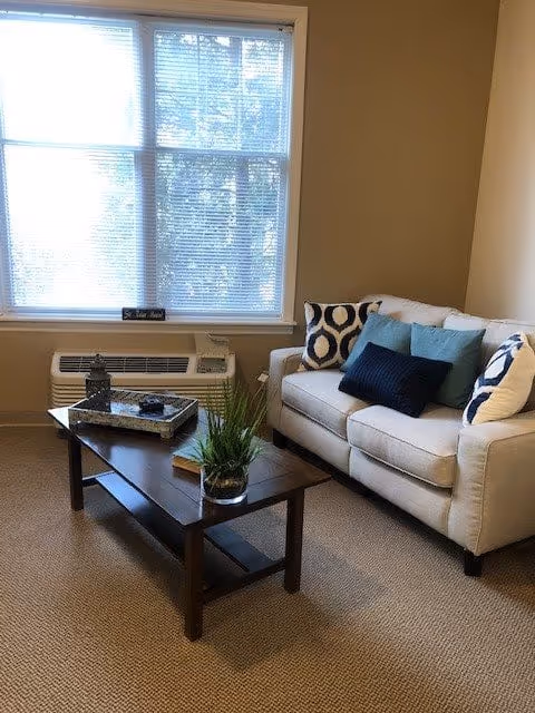 A cozy living room area with a beige sofa adorned with patterned and solid blue cushions. In front of the sofa is a wooden coffee table with a small potted plant, a decorative lantern, and a tray. Behind the sofa is a large window with blinds partially open, letting in natural light.