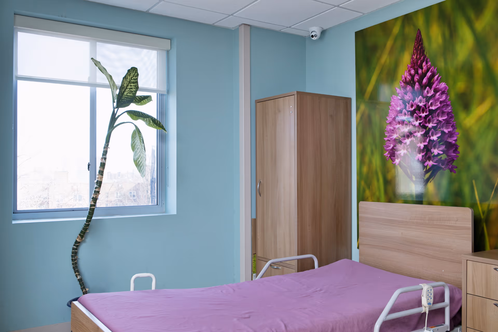 Single-occupancy patient bedroom with a bed covered in purple sheets, wooden wardrobe and nightstand, a tall plant by the window, and large purple floral wall art.