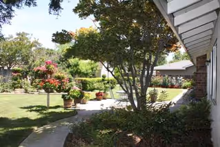 Outdoor courtyard of Elk Ridge Oaks with trees, potted flowers, and a walkway beside a building.