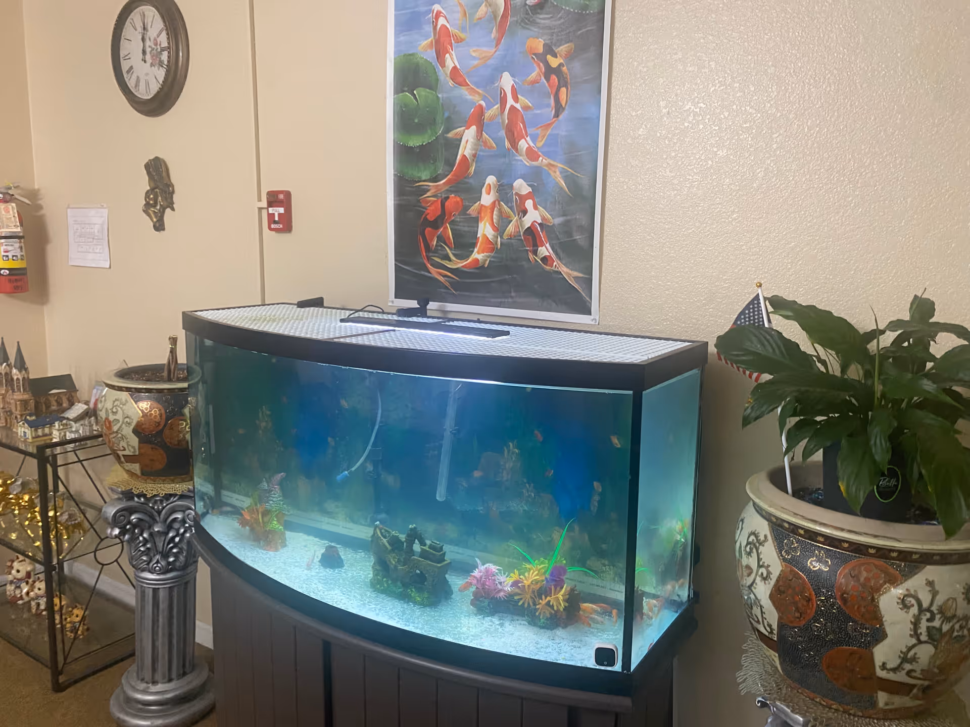 Curved fish tank in a care home common area flanked by decorative planters, a koi poster, a wall clock, and ornaments.