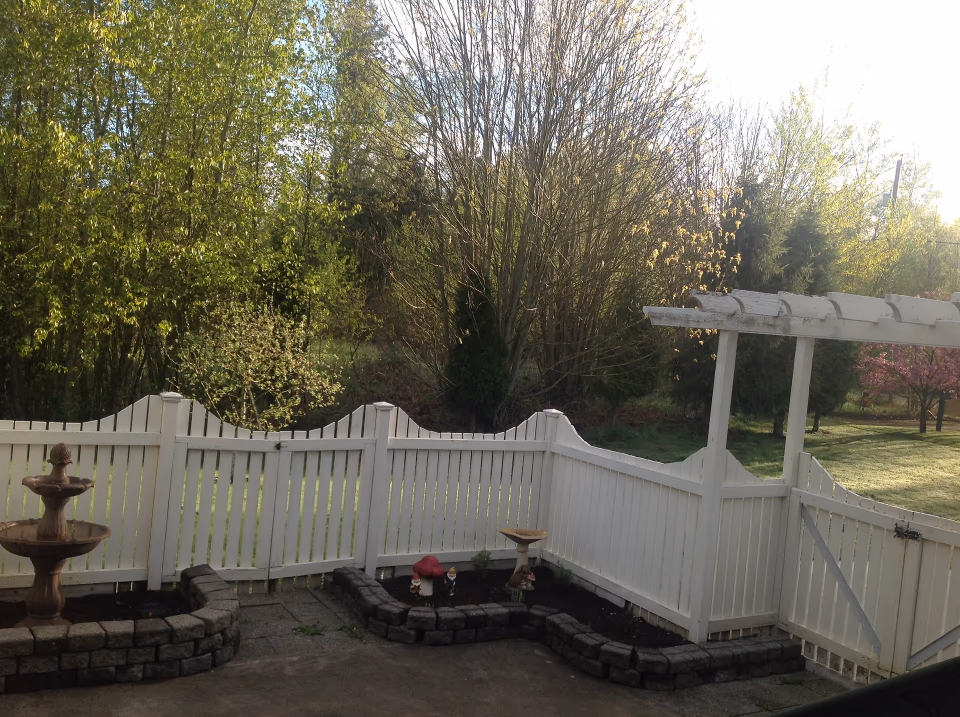 Backyard patio with a white picket fence and pergola, raised garden beds, a small fountain, and trees beyond.