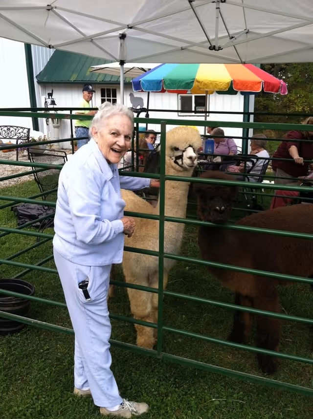 An elderly woman in a light blue outfit smiling and petting two alpacas inside a green metal enclosure outdoors. Behind the enclosure, several people are seated at tables under a colorful rainbow umbrella, with a white building in the background.