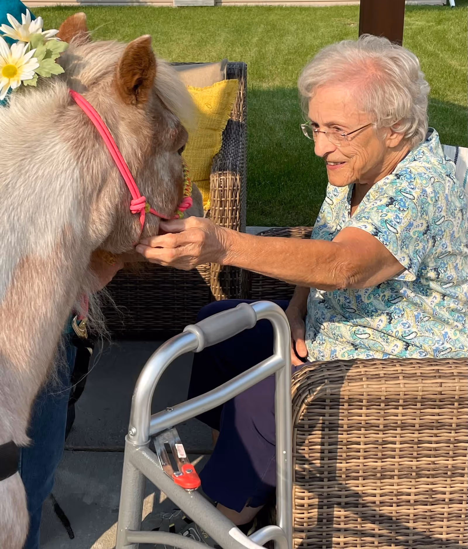 An elderly woman sitting outdoors on a wicker chair, smiling and reaching out to pet a small horse or pony wearing a pink halter and decorated with flowers. A walker is positioned in front of her, and there is green grass and outdoor furniture in the background.
