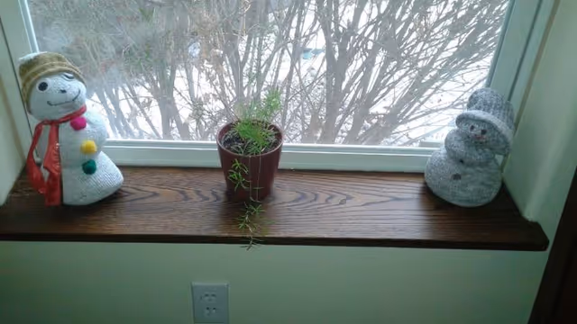 Window sill with a small potted plant flanked by two snowman decorations and a snowy yard visible outside.