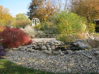 A landscaped outdoor garden area with a dry creek bed made of rocks, surrounded by various shrubs and trees with autumn foliage. There is a white garden arch in the background.