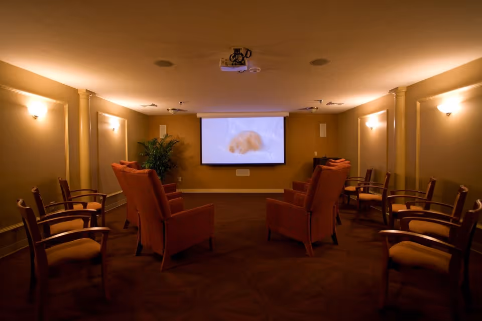 A cozy media room with a projector screen displaying a sleeping animal. The room has warm lighting with wall sconces, several cushioned armchairs arranged in rows facing the screen, and wooden chairs along the walls. There is a potted plant in the corner and a ceiling-mounted projector.