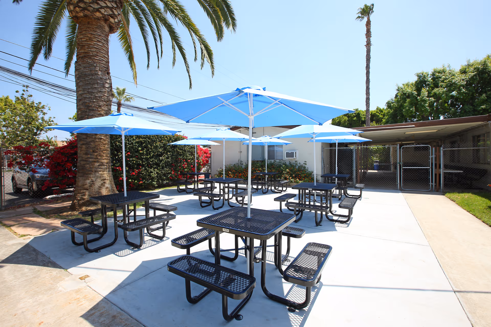 Outdoor patio area with several black metal picnic tables and benches, each shaded by a blue umbrella. The area is surrounded by palm trees, bushes with red flowers, and a building with a chain-link fence gate.