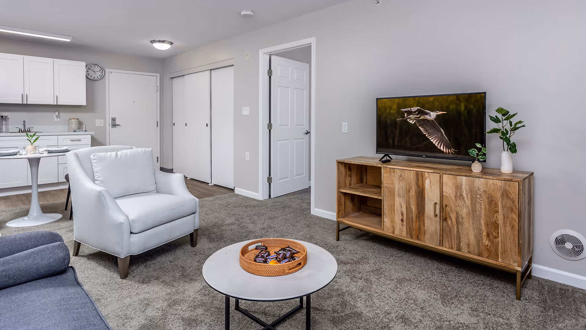 A modern living room area with a gray carpet, a white armchair, a blue sofa, and a round coffee table with a wicker tray holding candy bars. A wooden TV stand holds a flat-screen TV displaying a bird in flight and two small potted plants. In the background, there is a small dining table with two chairs and a kitchenette with white cabinets and a sink. A closed white door and a closet with sliding doors are also visible.