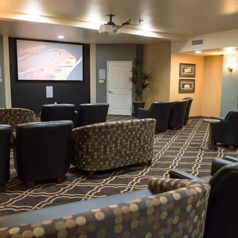 A cozy media room with multiple patterned and black leather chairs arranged facing a large projector screen displaying a close-up image of a violin. The room has patterned carpet, soft lighting, and a potted plant near a closed white door.