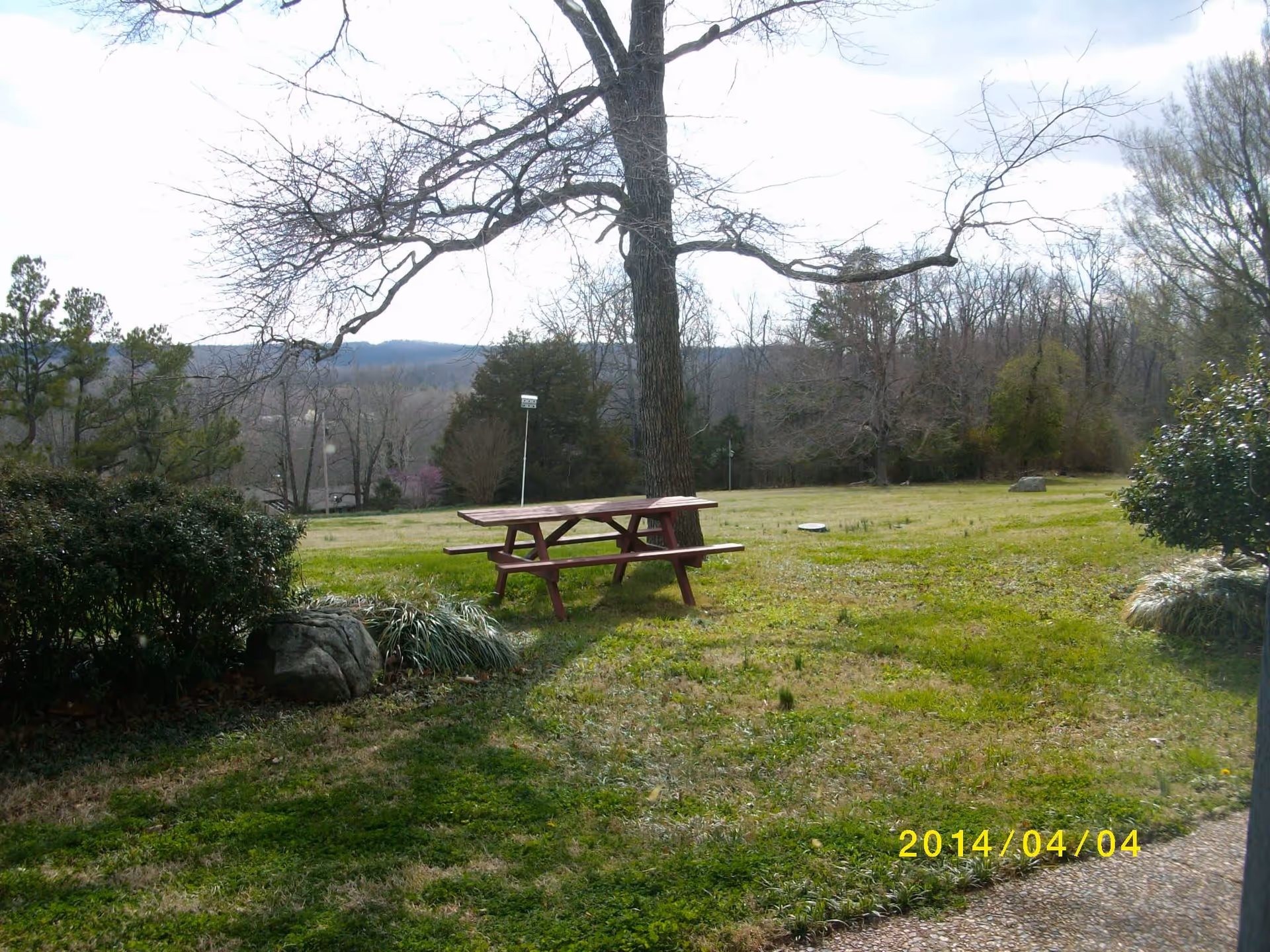 A grassy outdoor area with a large tree in the center and a wooden picnic table beneath it. Surrounding the area are bushes and trees, with hills visible in the background under a cloudy sky.