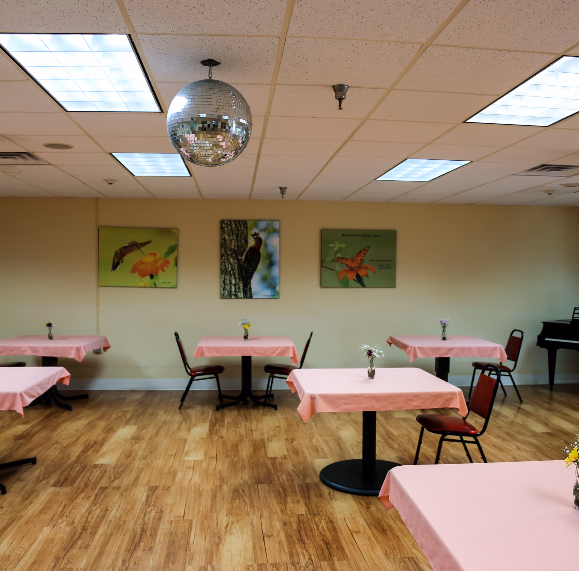 A dining room with several tables covered in pink tablecloths, each with a small vase of flowers. There are chairs around the tables, a disco ball hanging from the ceiling, and three framed pictures of birds and a butterfly on the wall. A piano is visible in the background on the right side.