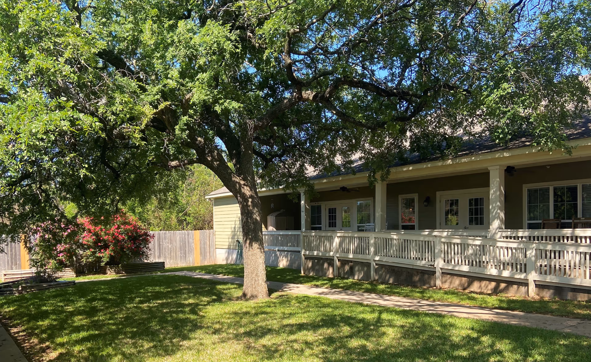 A sunny outdoor area at Mercy House Waco featuring a large tree with green leaves casting shadows on a well-maintained grassy lawn. There is a paved walkway leading to a covered porch with white railings and several doors and windows visible on the building. Flowering bushes with pink blossoms are near a wooden fence in the background.