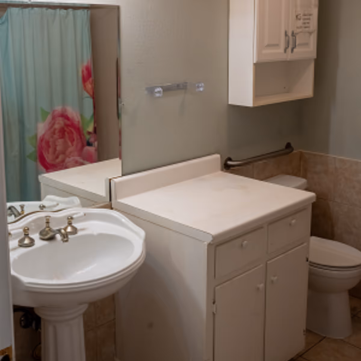 Bathroom with a white pedestal sink, a countertop with cabinets underneath, a toilet with a grab bar beside it, a wall-mounted cabinet, and a shower curtain with a large pink flower design.