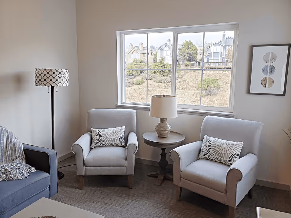 Two armchairs with patterned pillows and a side table with a lamp sit by a window in a bright living room.