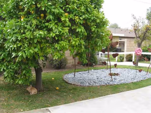 A front yard with a large tree, rock garden, and decorative metal ornaments near a building.