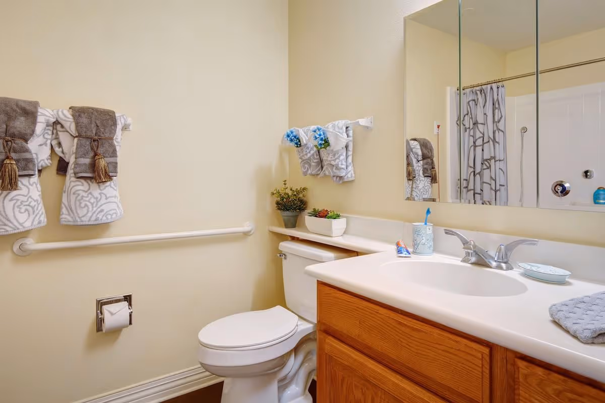 A clean bathroom with a white toilet, wooden vanity with a sink, and a large mirror above the sink. There are decorative towels hanging on the wall, a small shelf above the toilet with potted plants, and a shower curtain visible in the mirror reflection.