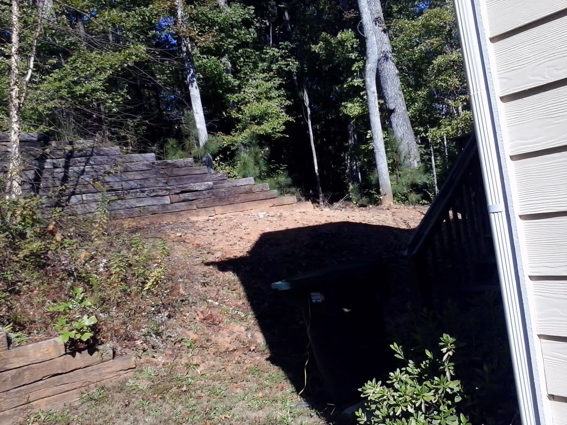 Outdoor area with a sloped dirt ground, wooden retaining walls, trees in the background, and part of a building with beige siding on the right side. There is also a black trash bin partially visible in shadow near the building.