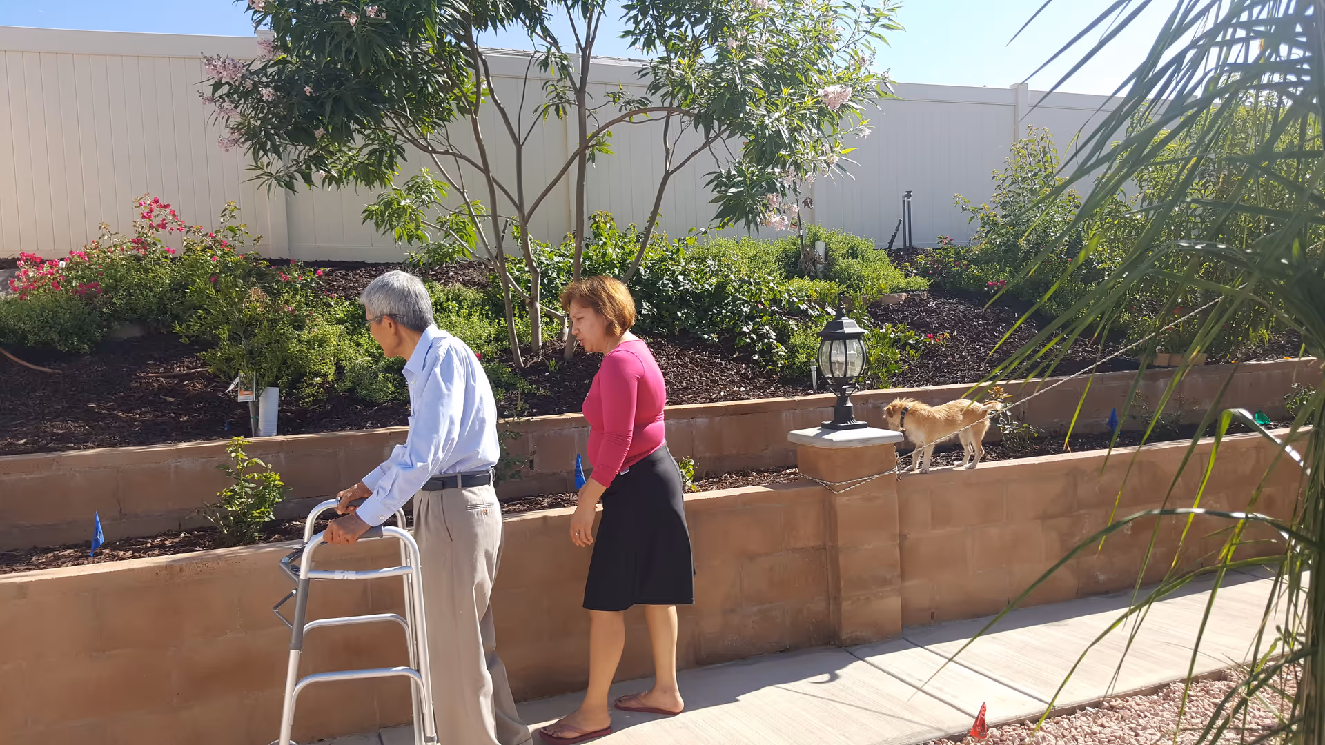 An elderly man using a walker is accompanied by a woman walking beside him on a paved pathway. They are outdoors next to a raised garden bed with green plants and flowers. A small dog is standing on the edge of the garden bed near a decorative lamp post. A white fence is visible in the background under a clear blue sky.
