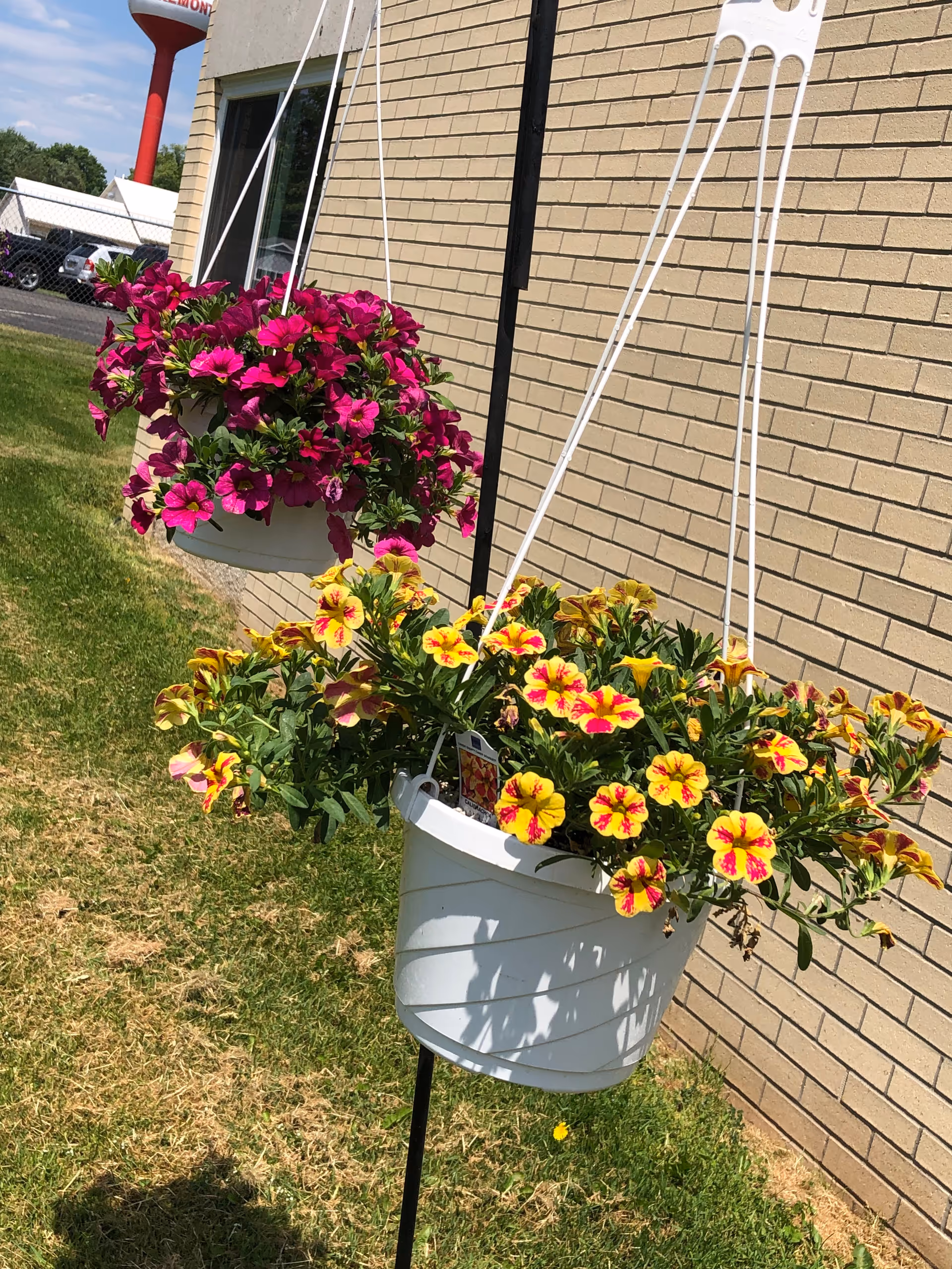 Two white hanging flower pots attached to a black metal pole in front of a beige brick building. One pot contains vibrant pink flowers, and the other contains yellow flowers with red centers. There is green grass below and a water tower visible in the background.