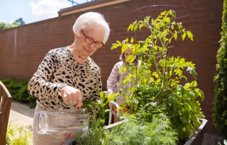 An elderly woman with white hair and red glasses waters plants in a garden bed outdoors, with another person in the background near a brick wall.