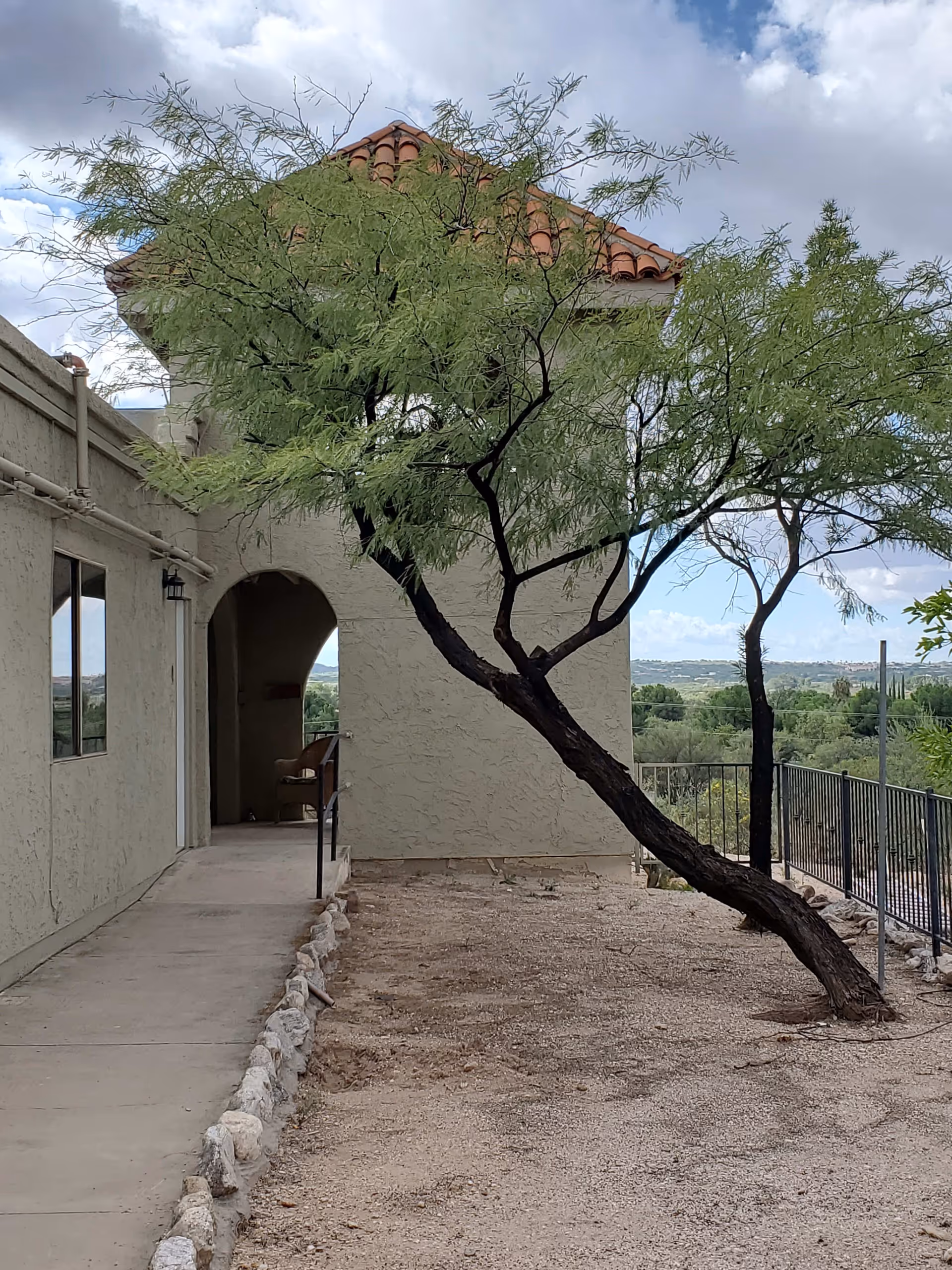 Stucco building exterior with a tiled roof, a leaning tree beside a concrete walkway and a distant valley view.