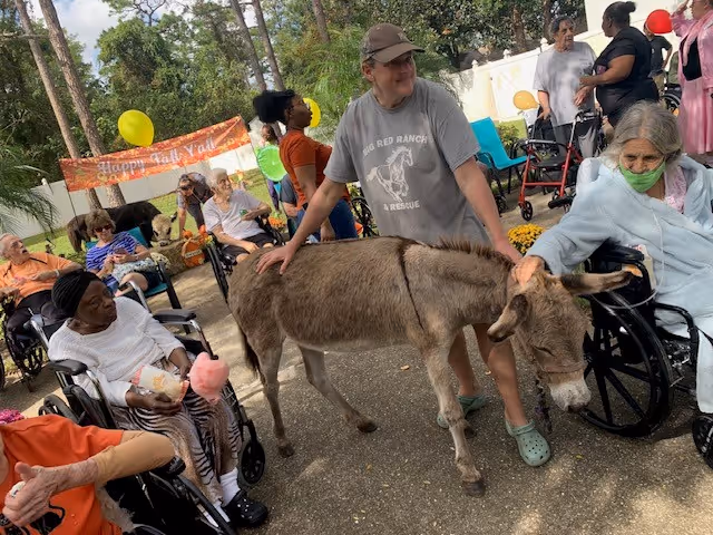 A group of elderly people, some in wheelchairs, are gathered outdoors at a nursing and rehab center. A woman wearing a cap and a 'Big Red Ranch & Rescue' t-shirt is holding and petting a small donkey. Other attendees are also petting the donkey. There are colorful balloons and a banner in the background that reads 'Happy Fall Y'all'. The setting appears to be a festive outdoor event with trees and a white fence in the background.