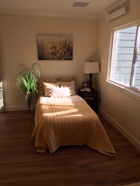 Sunlit small bedroom with a single neatly made bed, bedside table and lamp, potted plant, and wall art.