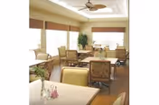Bright dining room with several tables and upholstered chairs, large windows, a potted plant, and a ceiling fan.