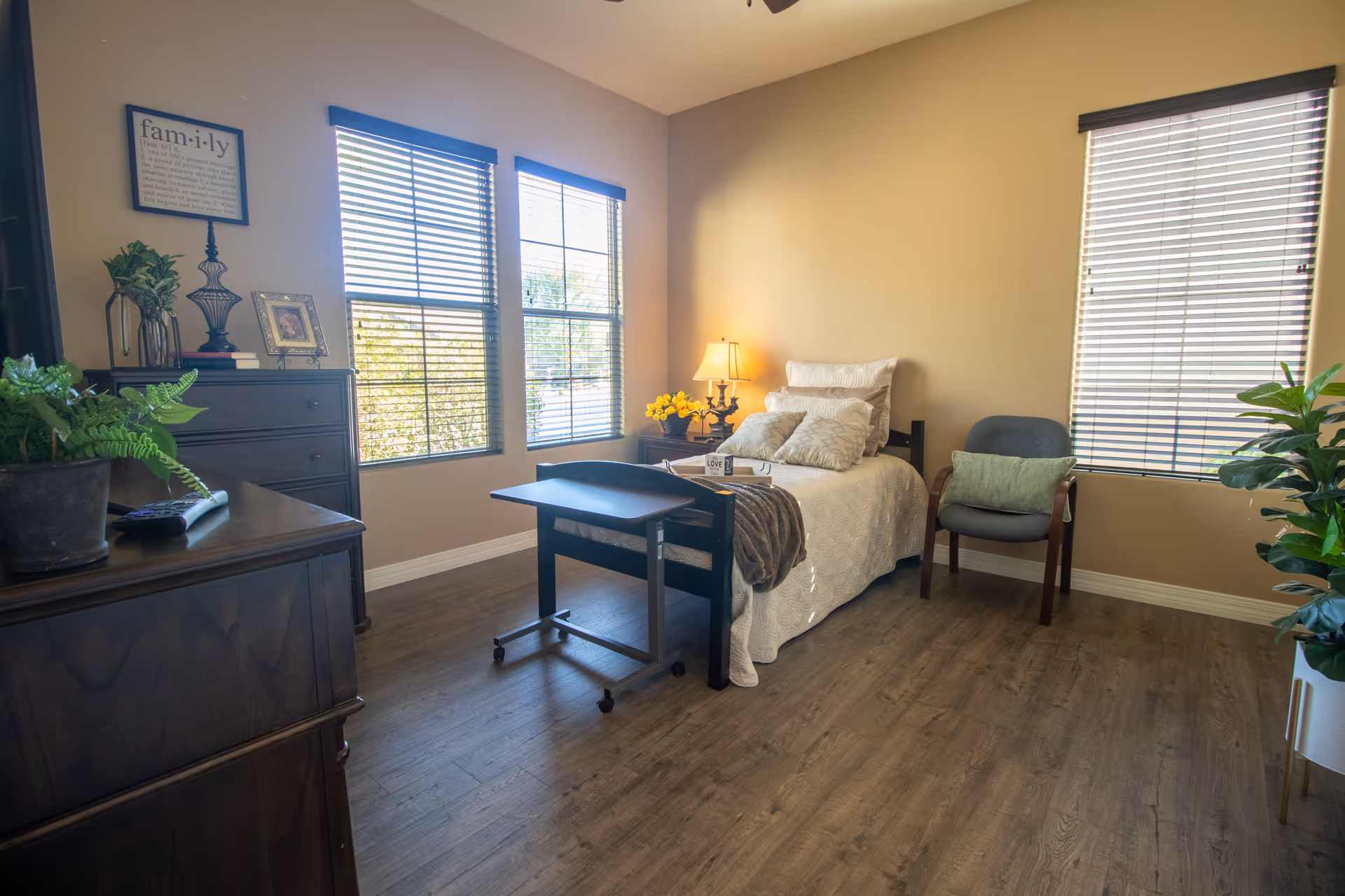 Bright furnished bedroom with a single bed, bedside table and lamp, dresser, chair, plants, and large windows.