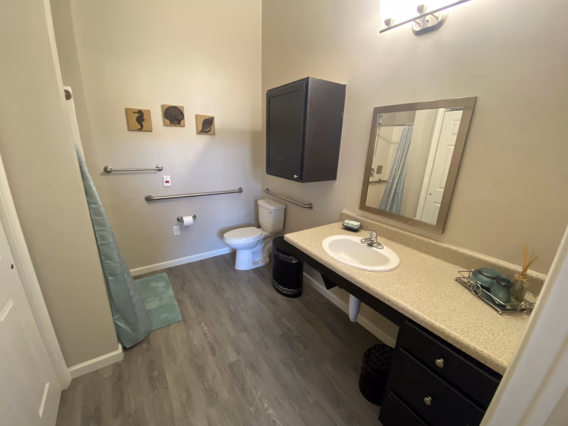 A clean, accessible bathroom with a toilet, sink, and vanity. The room has light-colored walls and wood-look flooring. There are safety grab bars near the toilet and a shower curtain partially visible on the left. Above the toilet is a dark wall cabinet, and a large mirror is mounted above the sink. Three small decorative wall hangings featuring a seahorse, a shell, and a leaf are on the wall.